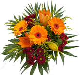 Screenshot_20200708-160624-1