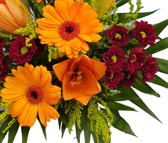 Screenshot_20200708-160639-12