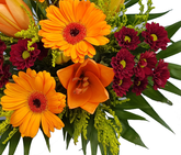 Screenshot_20200708-160639-12