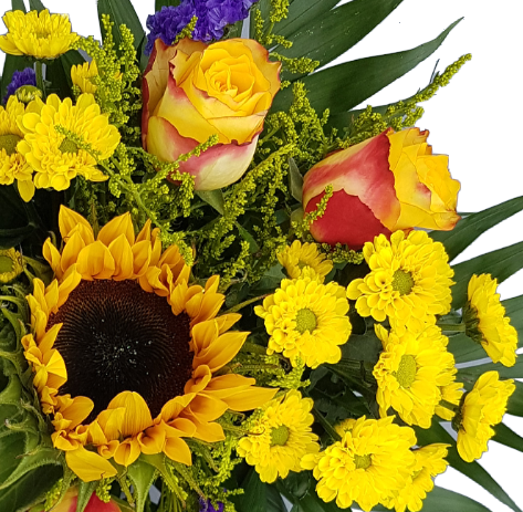 Screenshot_20200708-160811-1-fgh