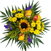 Screenshot_20200708-160811-1