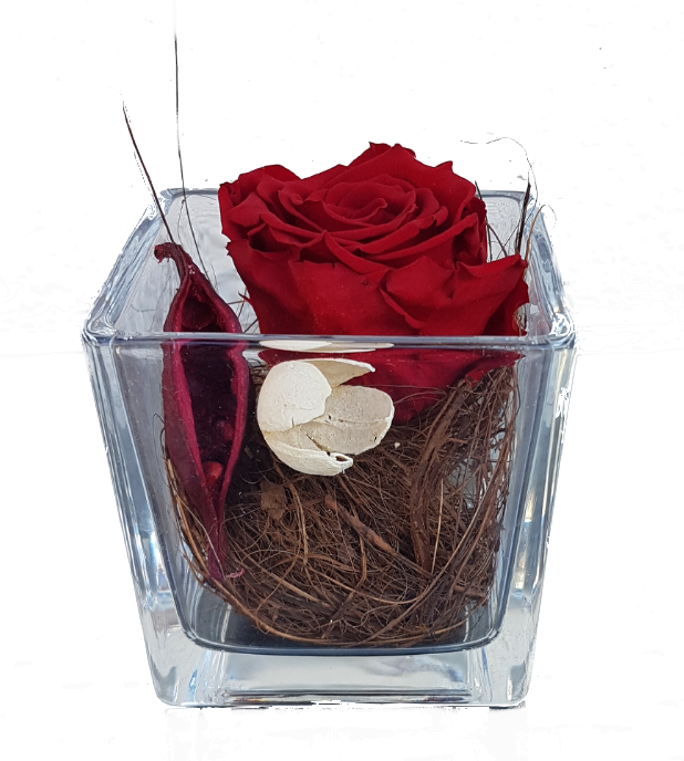 Screenshot_20200713-123120-1