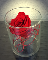 Screenshot_20200713-123147-1