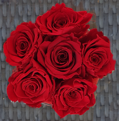 Screenshot_20200713-123156-1