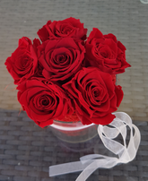 Screenshot_20200713-123159-1