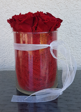 Screenshot_20200713-123205-1