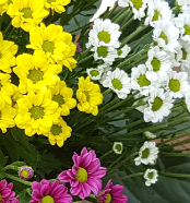 Screenshot_20200908-21cv-2529-1