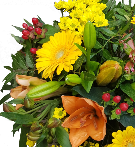 Screenshot_20201003-07163FF9-1