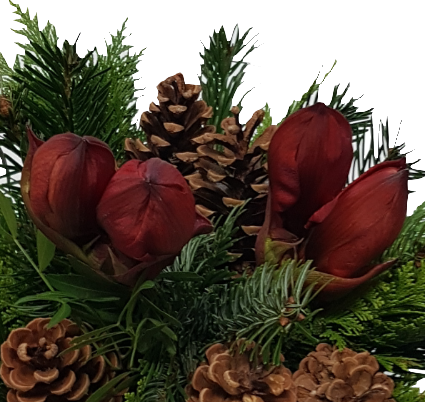 Screenshot_20201017-134347-1-ghg