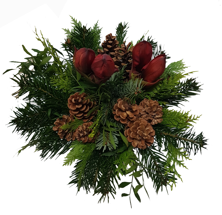 Screenshot_20201017-134347-1