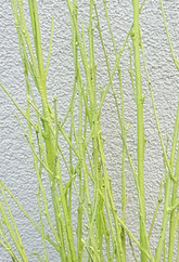 Screenshot_20210523-193221-1-dd