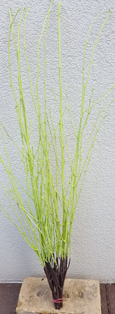 Screenshot_20210523-193221-1