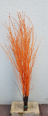 Screenshot_20210523-193230-1-nn