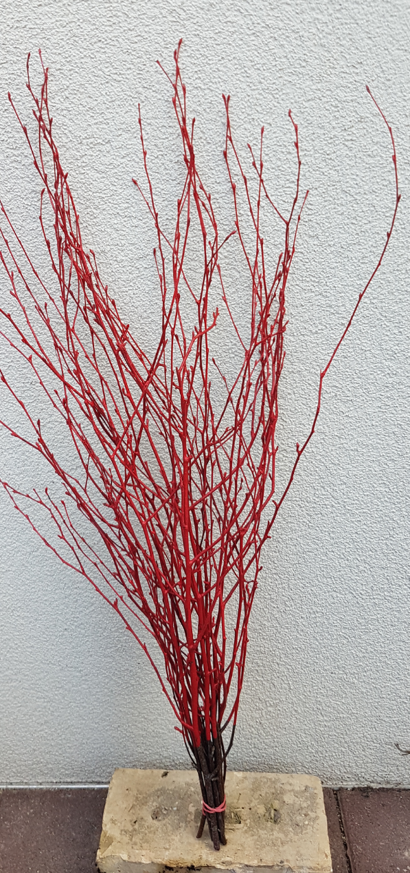 Screenshot_20210523-193235-1-f