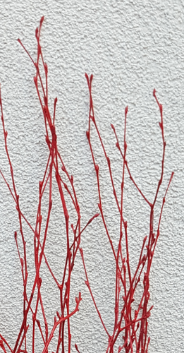 Screenshot_20210523-193235-1-fc