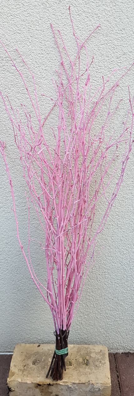 Screenshot_20210523-193241-1-xx