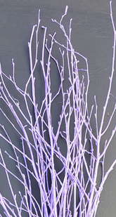 Screenshot_20210523-193322bb