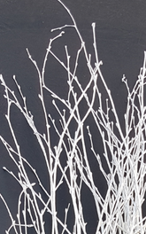 Screenshot_20210523-193326-1-mm