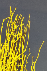 Screenshot_20210523-193334-1-vv