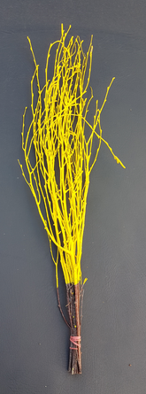 Screenshot_20210523-193334-1