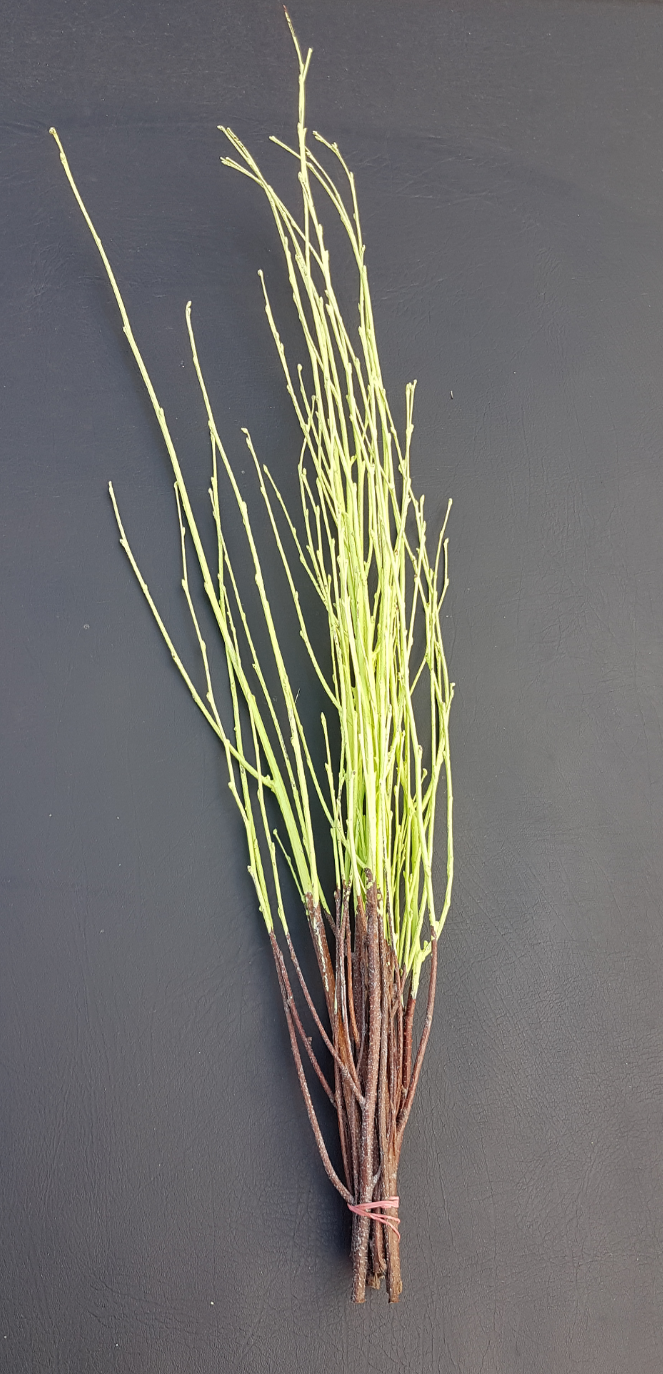 Screenshot_20210523-193345-1