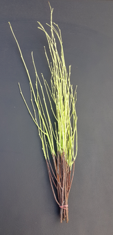 Screenshot_20210523-193345-1