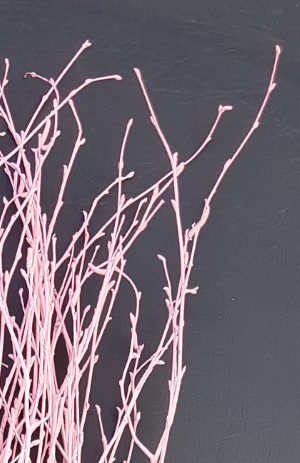 Screenshot_20210523-193401-1-xx