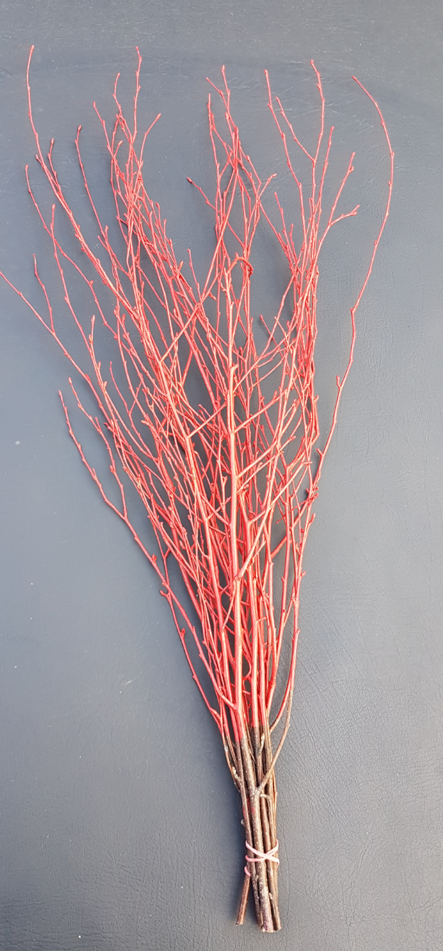 Screenshot_20210523-193410-1-nmn