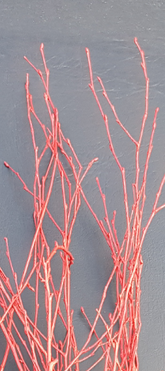 Screenshot_20210523-193410-1