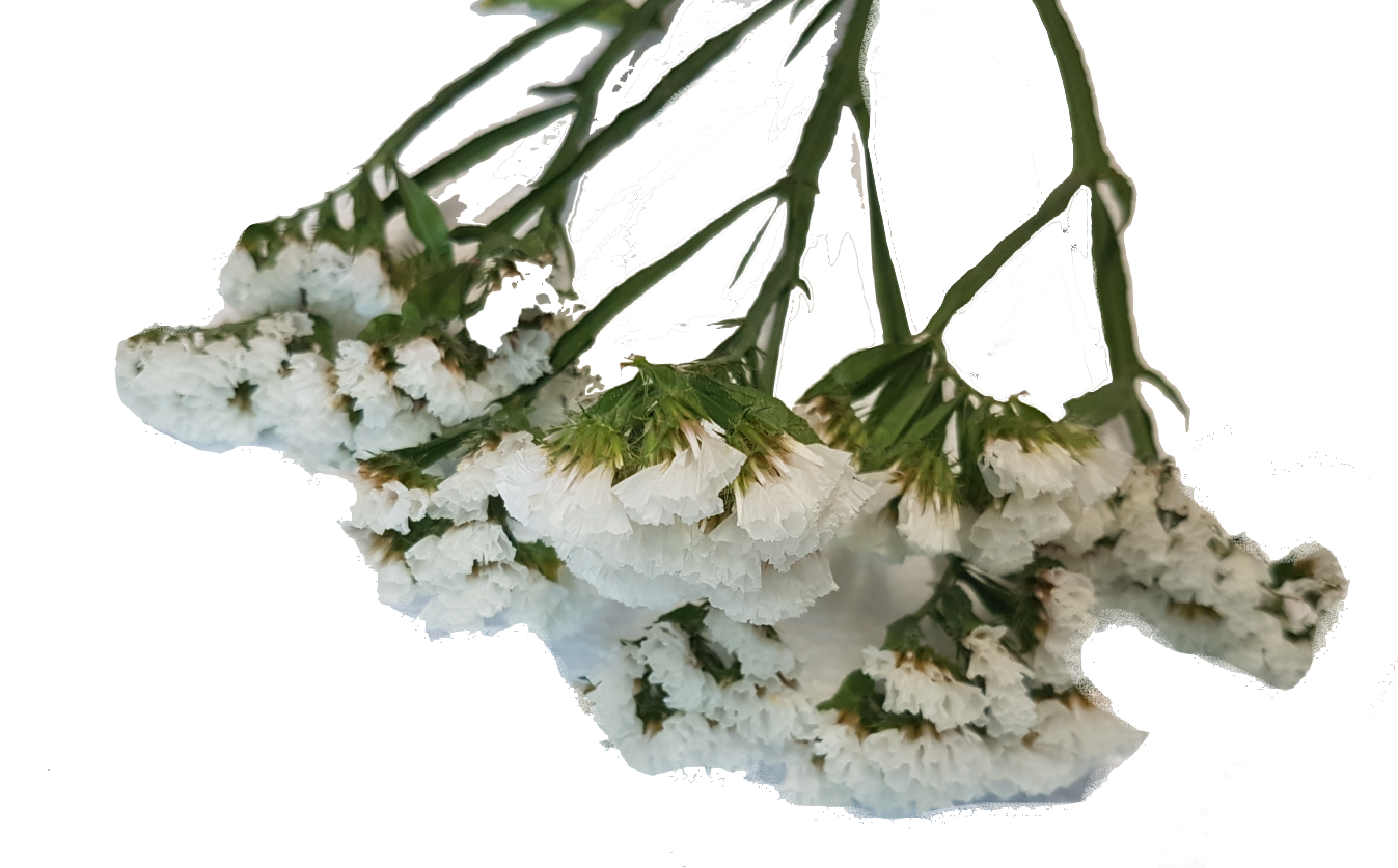 Screenshot_20210524-133721-1-ss