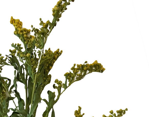 Screenshot_20210524-133842-1-mMARw4mIzw4lwt