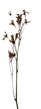 Screenshot_20210524-133902h