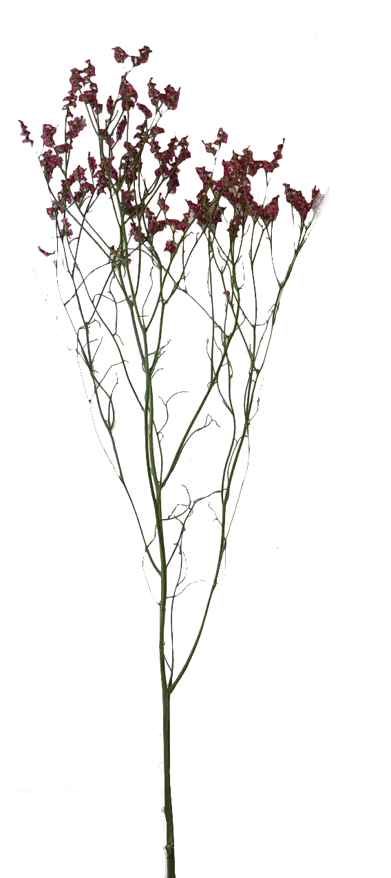 Screenshot_20210524-133907-1-jh