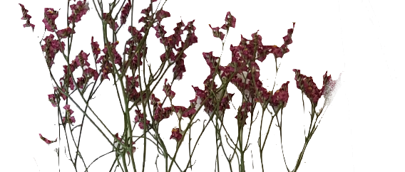 Screenshot_20210524-133907-1-jhhbb