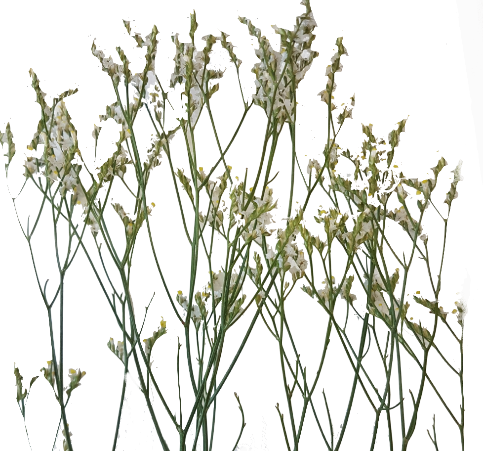 Screenshot_20210524-133929-1-t