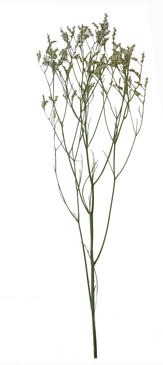 Screenshot_20210524-133933-1-gg