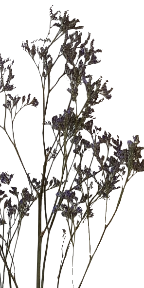 Screenshot_20210524-133936-1-jj