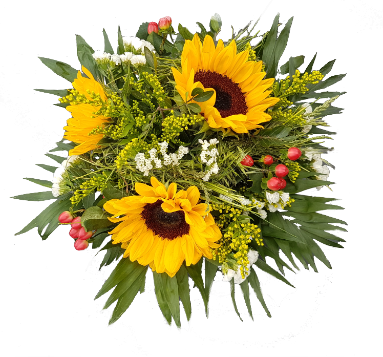 Screenshot_20210525-162442-1-b