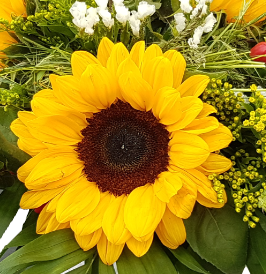 Screenshot_20210525-162446-1-gghh