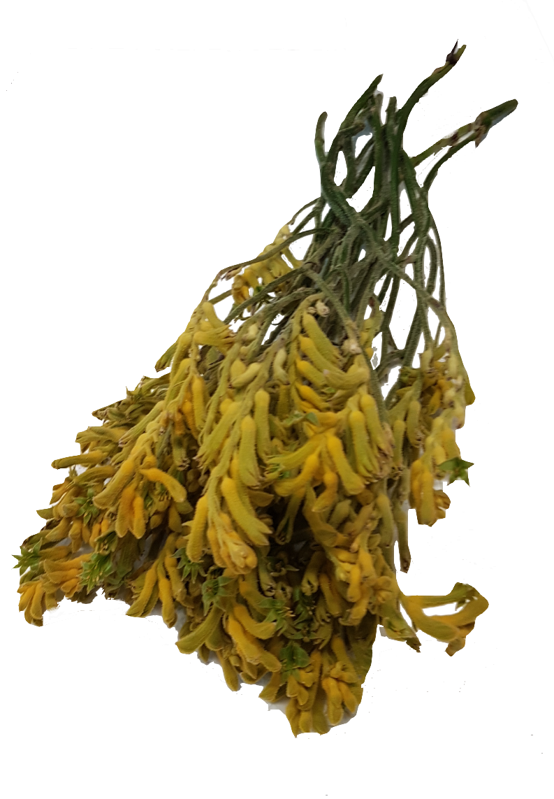 Screenshot_20210527-125152-1