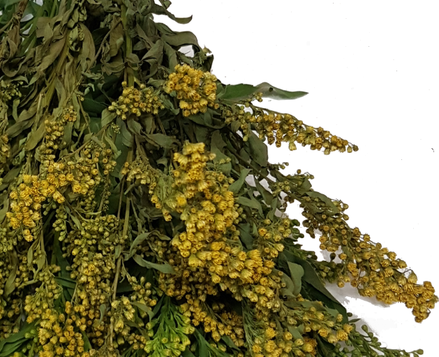 Screenshot_20210527-125201-1