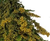 Screenshot_20210527-125201-1