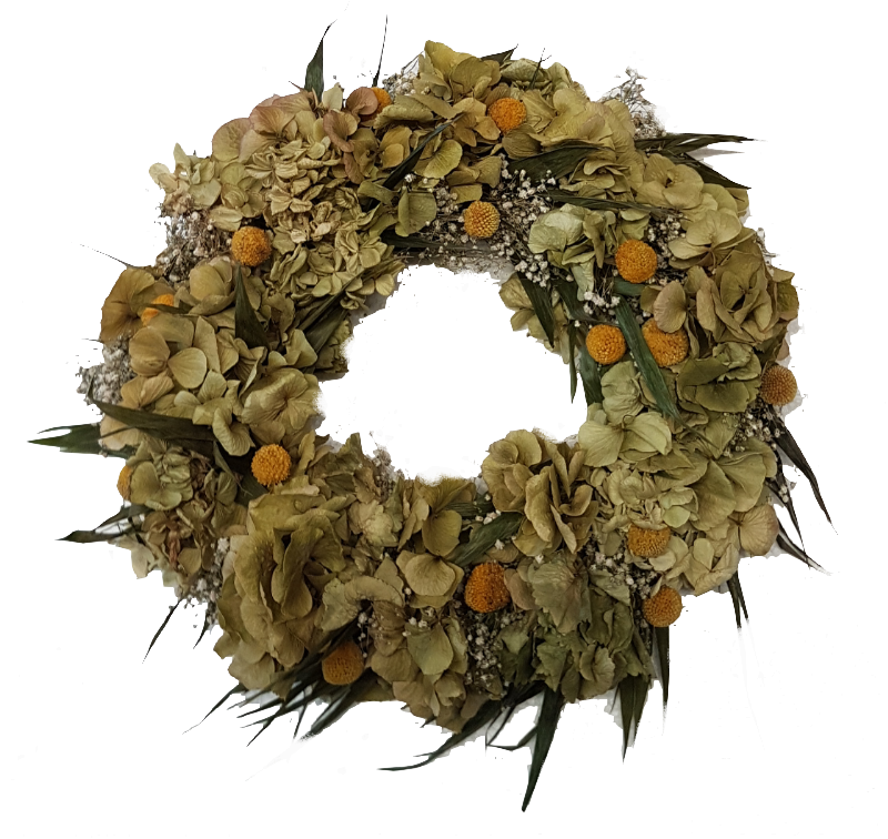 Screenshot_20210527-175642-1-mmtPMfKs6ZlPbyu