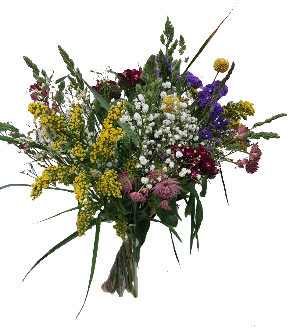 Screenshot_20210528-133505-1-dff