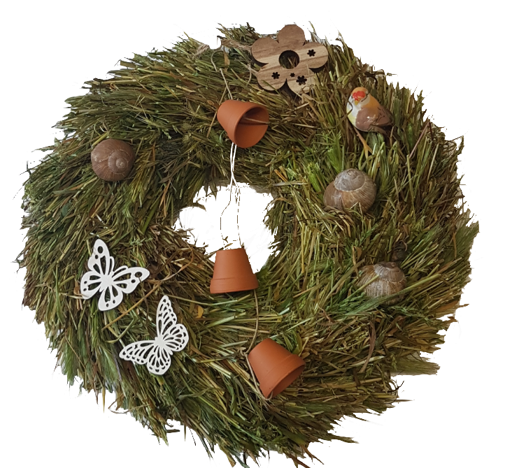 Screenshot_20210608-111831-1