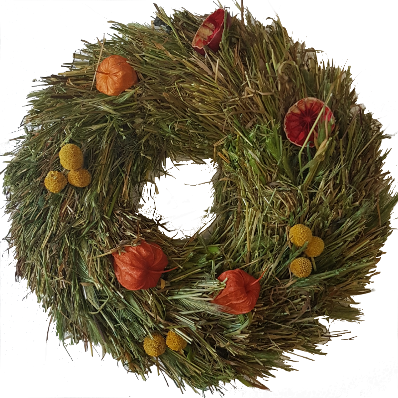 Screenshot_20210608-111849-1