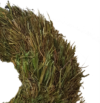 Screenshot_20210608-111902-1-1