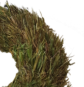 Screenshot_20210608-111902-1-1