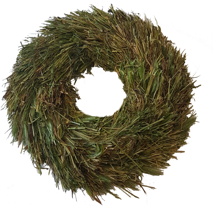 Screenshot_20210608-111902-1