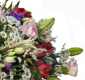 Screenshot_20210611-112646-1-hhbhbb